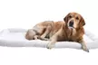 Amazon Basics Faux Sherpa Padded Bolster Dog & Pet Bed - 2 Sizes - Second Medium