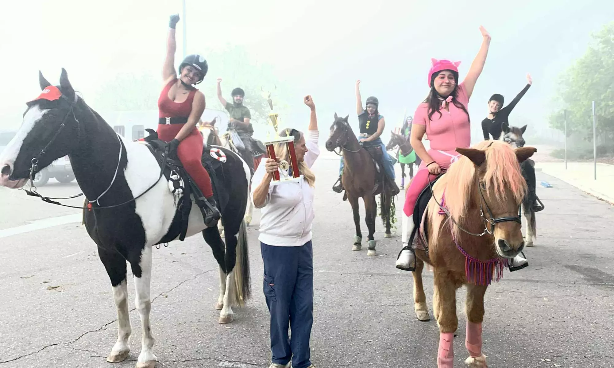 Private, Group, And 8-Week Horseback Riding Lessons For All Levels