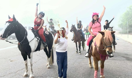 Private Lesson for One: Learn Horseback Riding Skills & Enjoy a Guided Session with a Horse - Starlight Acres