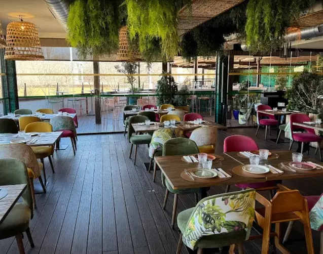 Menú mediterráneo con postre y bebida o botella de vino para 2 o 4