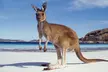 Luxury Australia Vacation. Price is per Person, Based on Two Guests per Room. Buy One Voucher per Person. - Second Medium