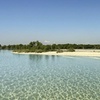 Image 7: Explore Abu Dhabi in 1, 2, 3, or 4 Hour Tours for Up to 12 Guests