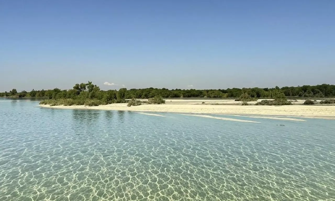 Explore Abu Dhabi in 1, 2, 3, or 4 Hour Tours for Up to 12 Guests