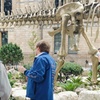 Image 3: Explore the Natural History Museum - Adult & Child Tours!