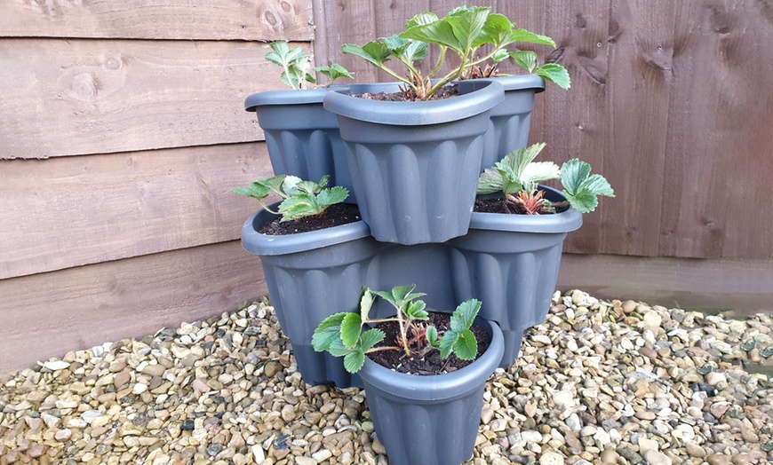 Image 3: Strawberry Planter Set