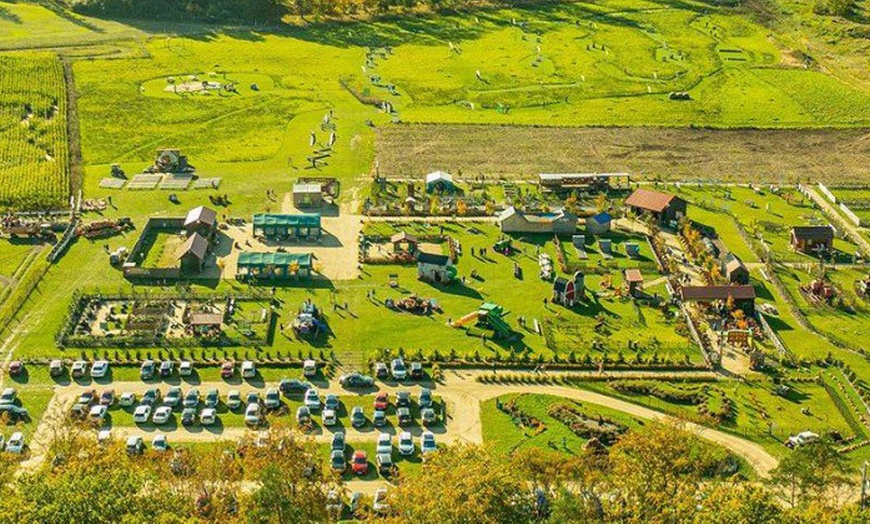 Image 1: Edukacja i rozrywka w sielskiej atmosferze: bilet na Farmę Alexa