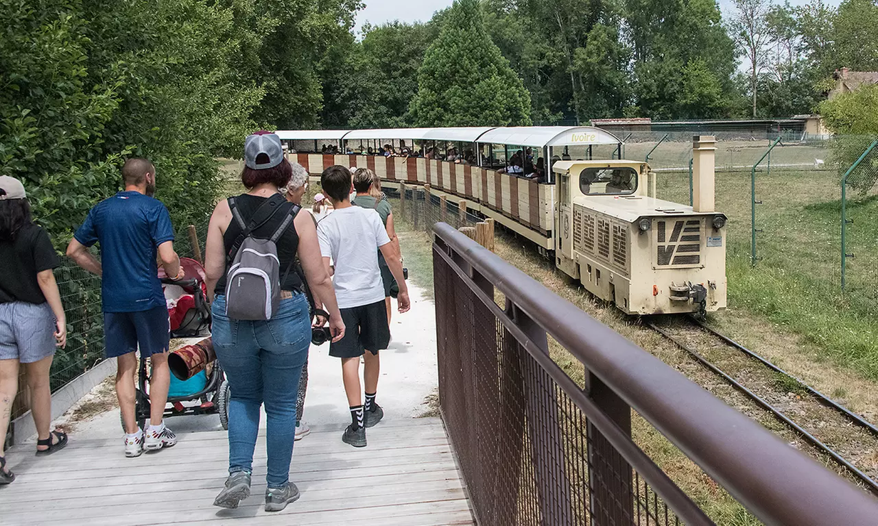 Safari animalier près de Paris avec accès Terre de Singes