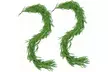 9FT Real Touch Norfolk Pine Garland - Second Medium