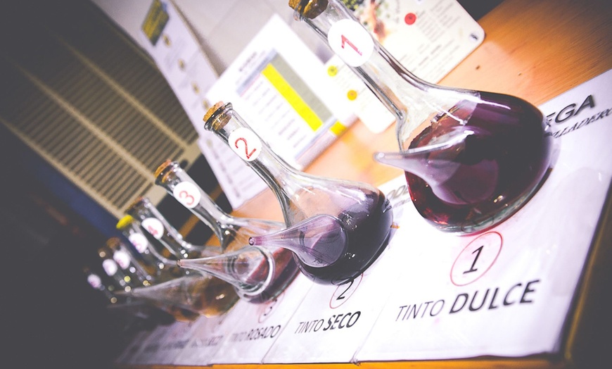 Image 17: Visita a bodega con cata de 3 vinos y aperitivos para hasta 6 personas