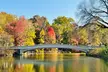 60 or 120-Minute Central Park Movie Locations Tour for 3 at Central Park Pedicab Guided Tours (Up to 28% Off) - Second Medium