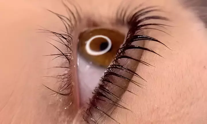 Cashmere, Premium Mink Lash Extensions / Keratin Lash Lift & Tint
