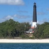 Image 5: Explore Waters of Pensacola, FL:  90-Min Dolphin Tour or Sunset Cruise