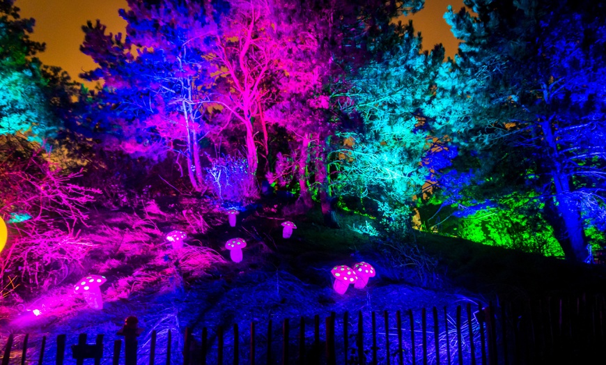 Image 14: Ontdek de dieren van de zee en neem zelf een duik in het Dolfinarium