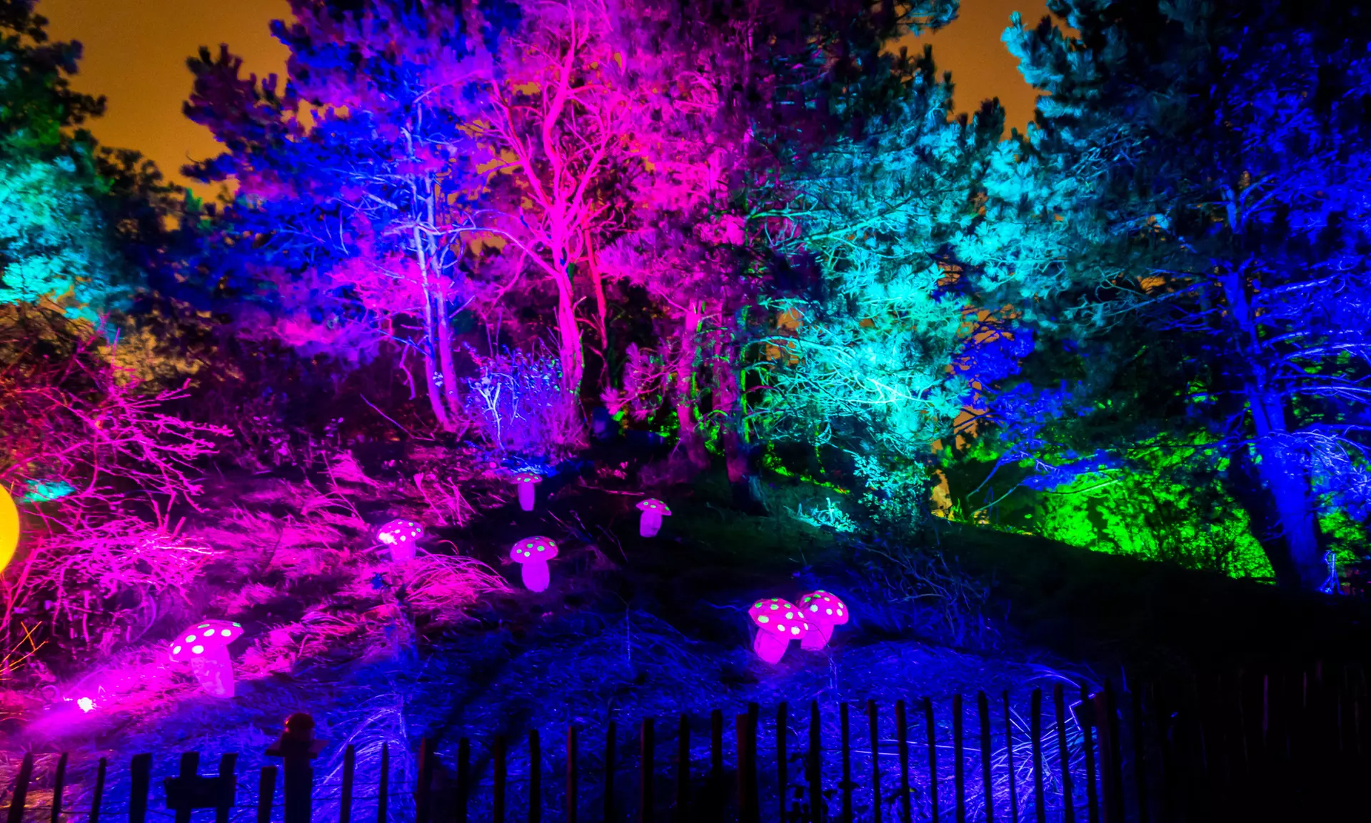 Einrittskarte "Dolfinarium" in Harderwijk, Niederlande für 1 Person