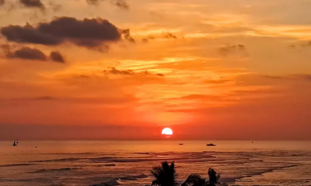Waikiki BYOB Sunset Cruise for One 