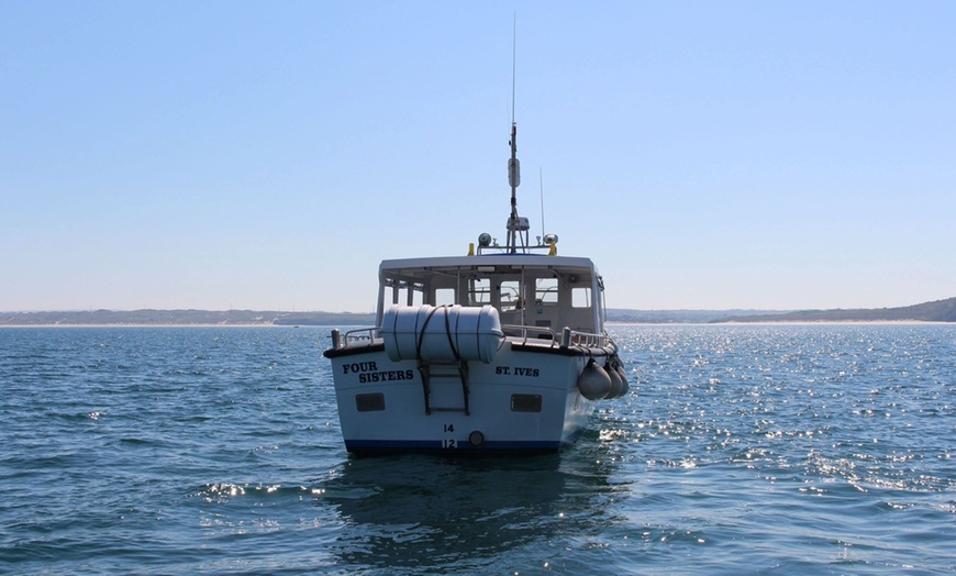 Image 6: Seal-Dolphin Spotting & Godrevy Lighthouse Trip-Upto 4 Adults & 2 Kids