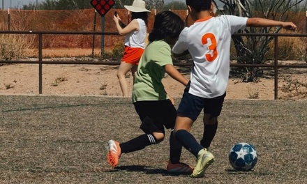 Scottsdale Soccer Private 1-on-1 Training - 4-12 Years old - Scottsdale Soccer Training