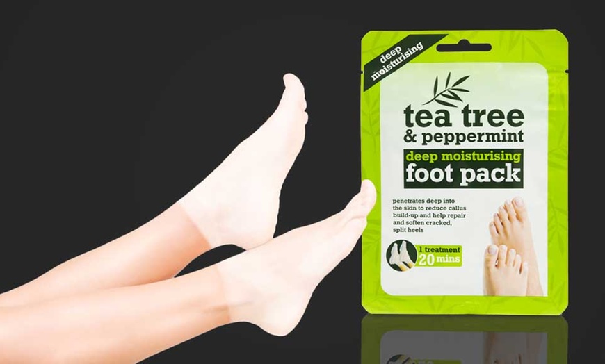 Image 1: Tea Tree and Peppermint Foot Pack