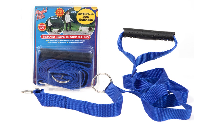 Image 4: Anti-Pull Dog Harness and Lead