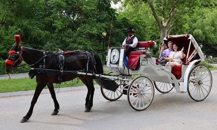 Central Park Short Tour w/ Photo Stop (25 min) M-F - NYC Horse Carriage Rides™ EST.1979