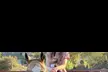 Horse riding and animal time at a private ranch. Family Experience, Mommy & Me, or Ranch Camp. All ages. Valid Mon-Fri - Second Medium