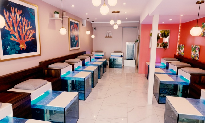 Image 2: Séance de fish spa 