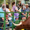 Image 5: Admission Tickets to Safari Tractor Hayride on 100-Acre Farm! 