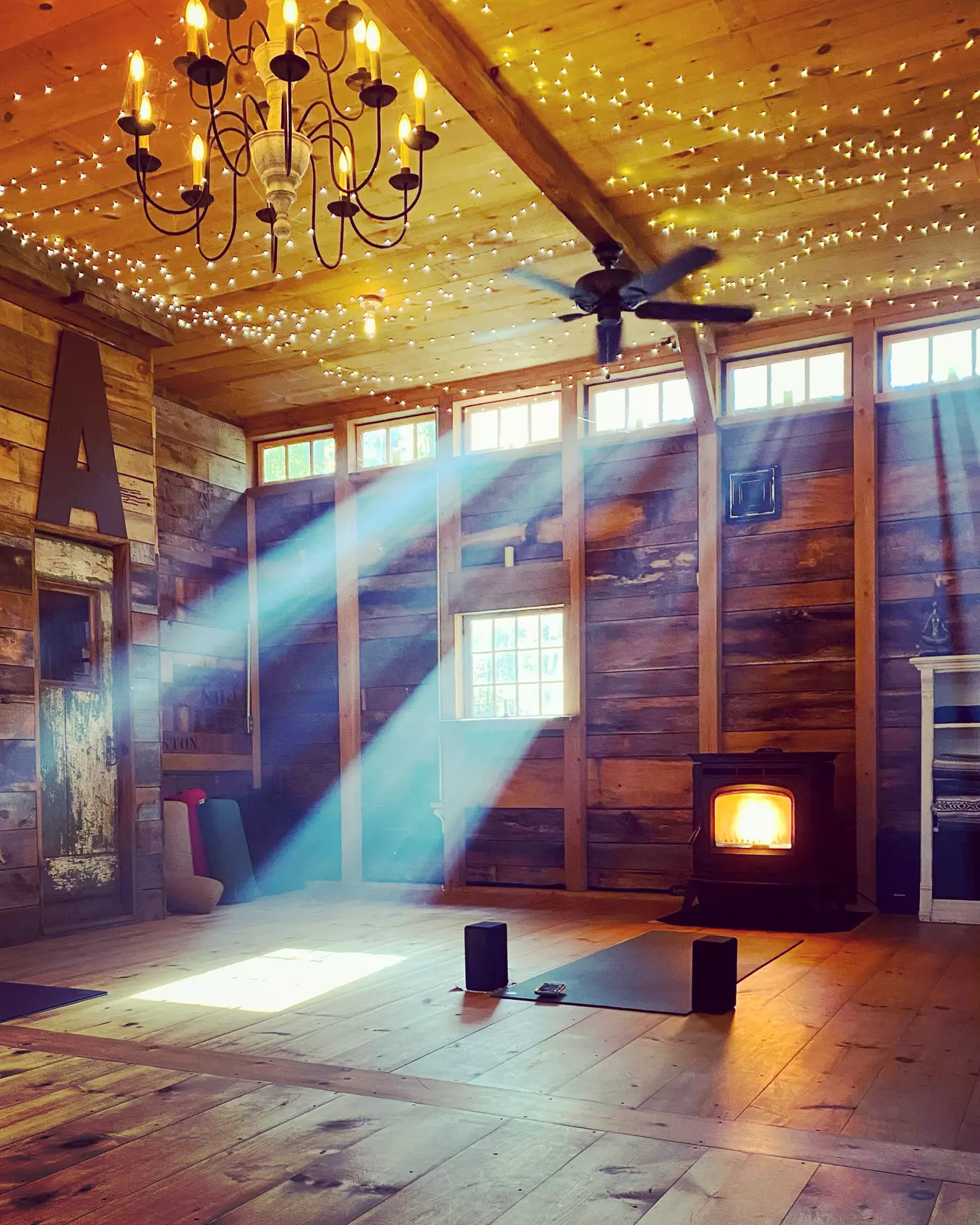 Experience Alpaca Encounters and Yoga Bliss