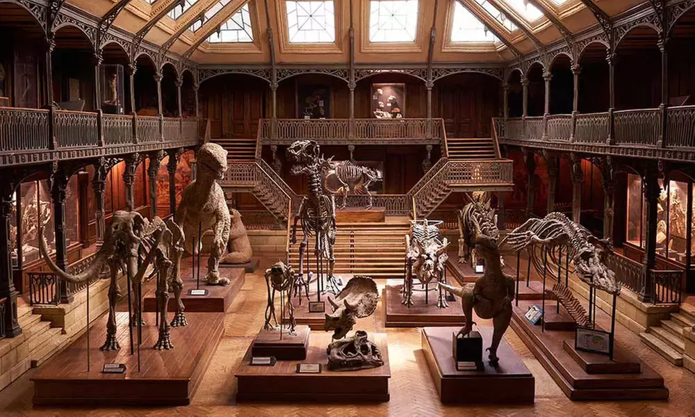 Lyon : chambre double avec petit-déjeuner et champagne