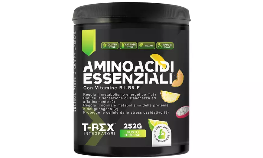 Image 15: Aminoacidi essenziali, glutammina e arginina T-Rex Integratori