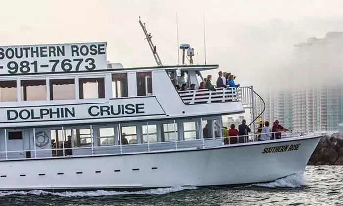 Gulf of Mexico Dolphin Cruise: 1.5-2 Hours, Dolphin Sight Guaranteed