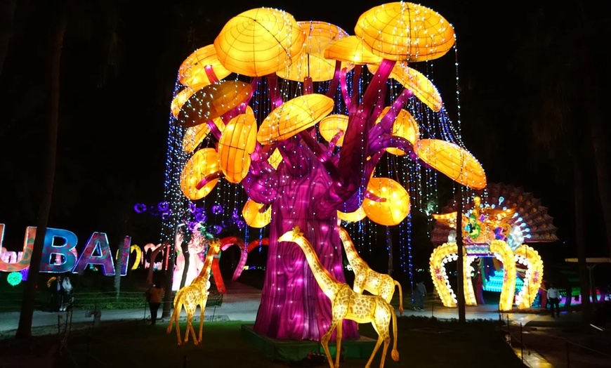 Image 3: Dubai Garden Glow Experience – Entry for 1–4 People