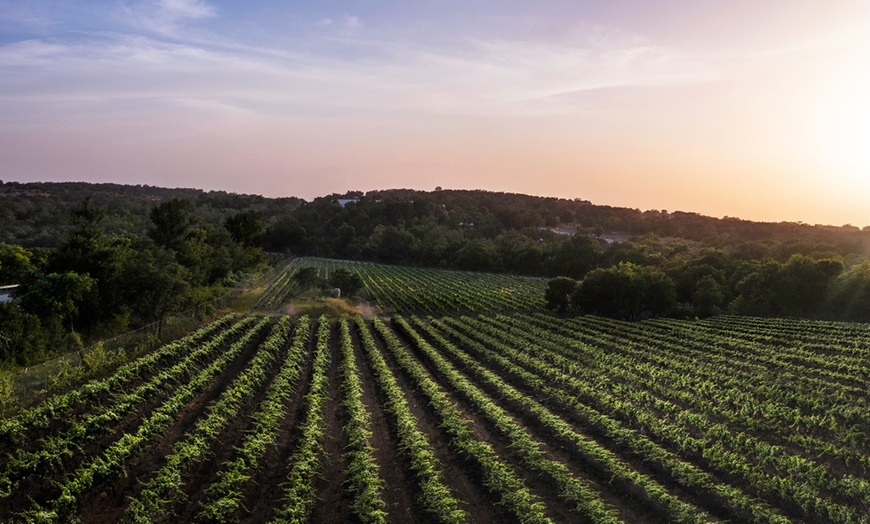 Image 29: Hill Country views, winery, spa, and laid-back Texas vibes