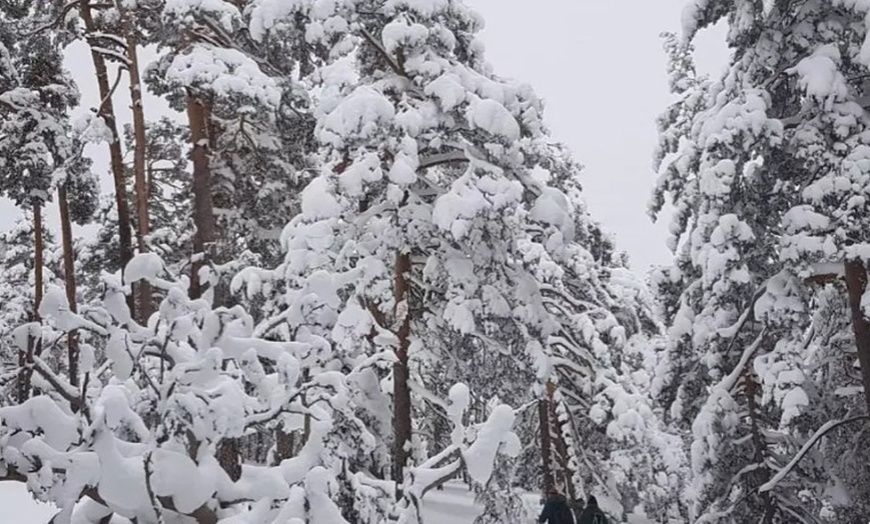 Image 6: Excursión con raquetas por la Sierra de Guadarrama para 1 o 2 personas