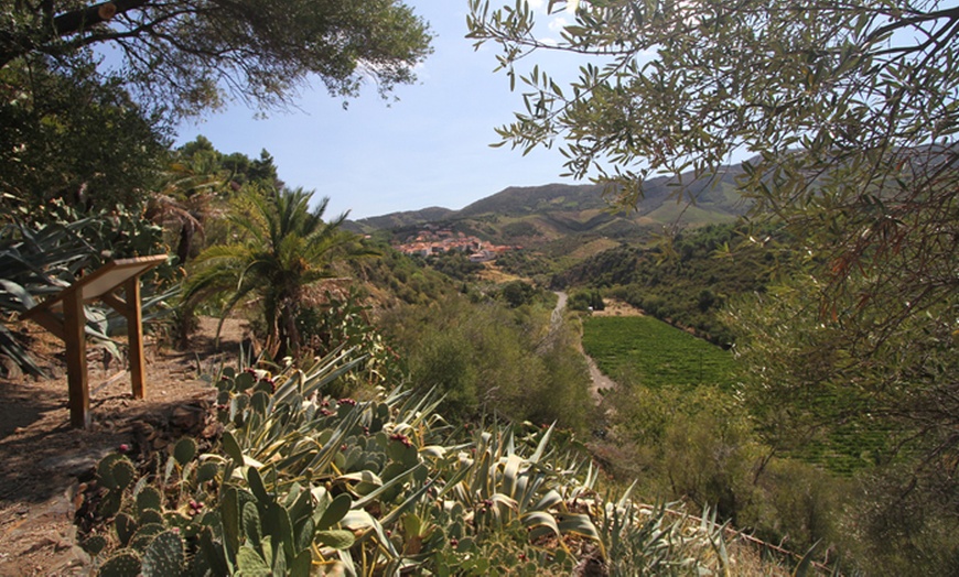 Image 3: Aquarium de Banyuls et jardin Méditerranéen 