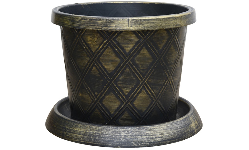 Image 15: Agapanthus Blue and White Collection - 6 or 12 Plants