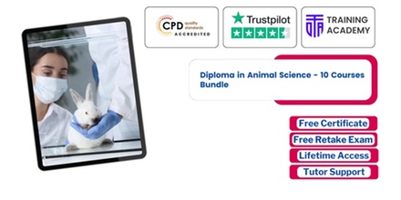 Animal First Aid - Online Course - Online Training Academy
