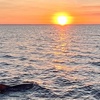 Image 3: Breathtaking Sunsets on a Wildlife Cruise through San Carlos Bay