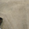 Image 5: Steam Cleaning for 3, 4, 5, 6, or 7 Rooms, One Hallway, Closets & More