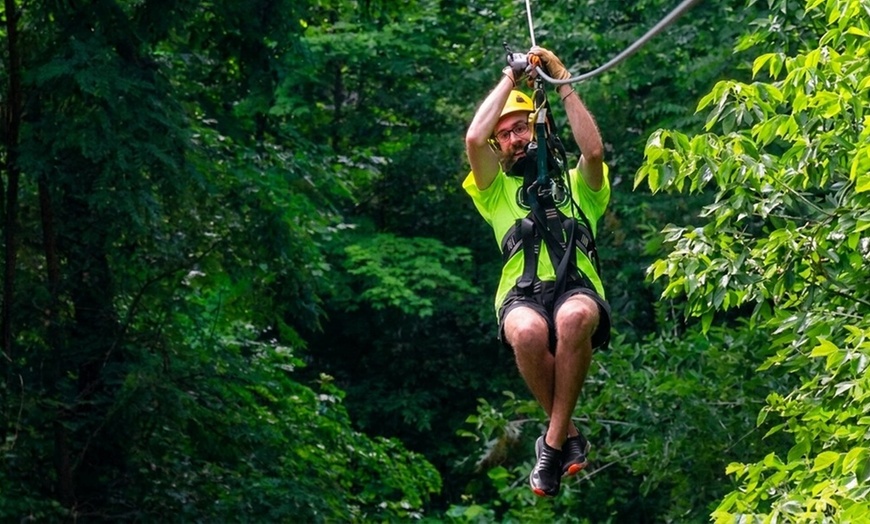 Image 5: Zipline Canopy Tours for Groups