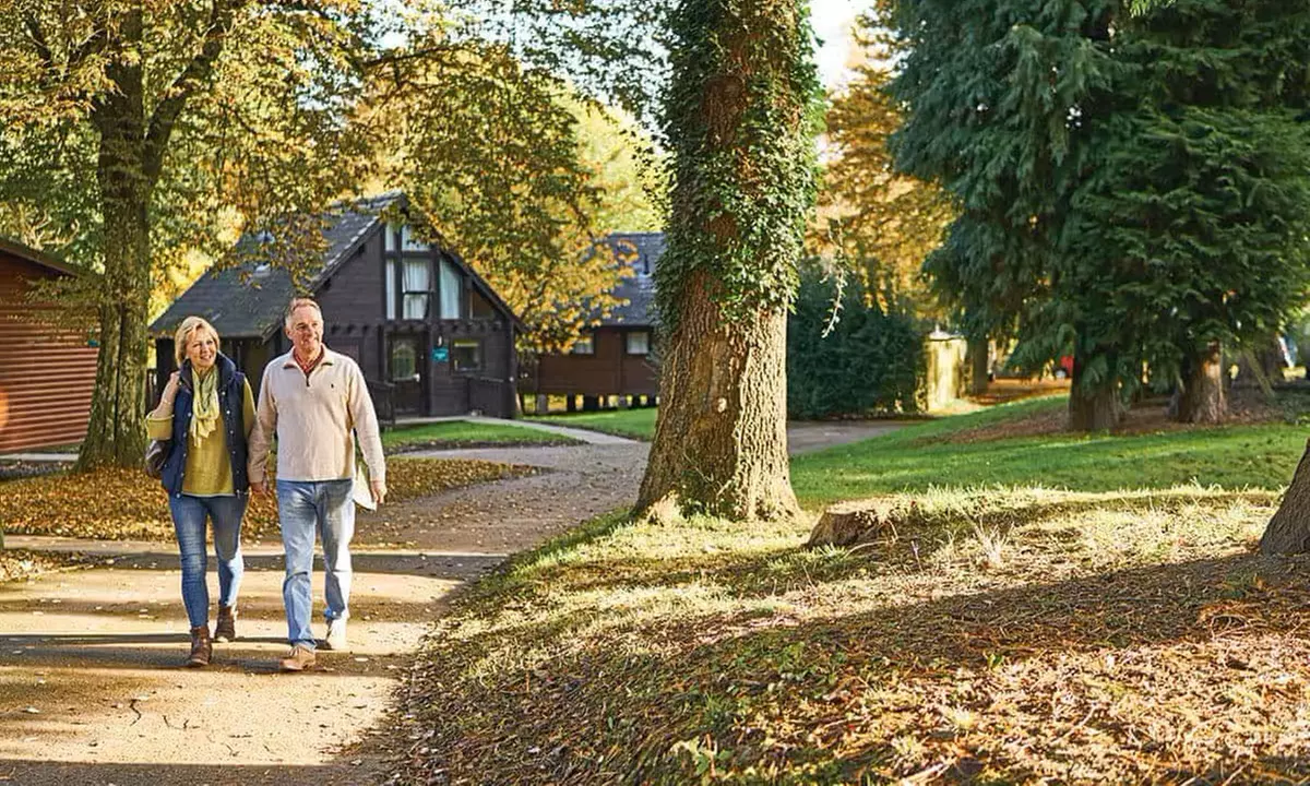 Forest of Dean: Glamping Megapod for Four