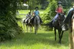 Discover Florida’s Beauty on Horseback: Group or Private Trail Ride for 2, 3, or 4 People (Up to 43% Off) - Second Medium