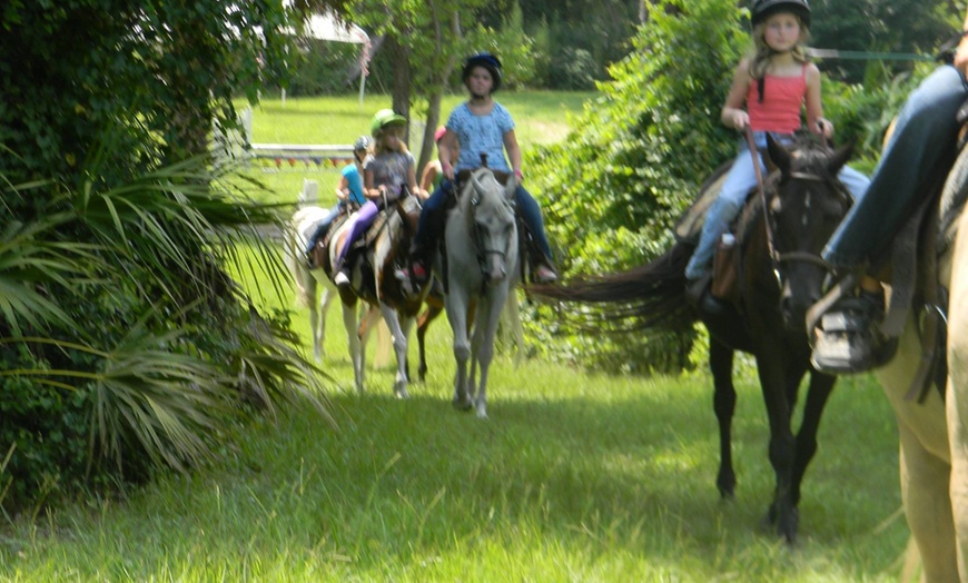 Image 5: Explore Serene Guided Group/Private Horseback Trail Ride for 2, 3 or 4