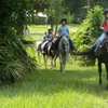 Image 8: Discover Scenic Trails on a Private Trail 1 Hour Ride 