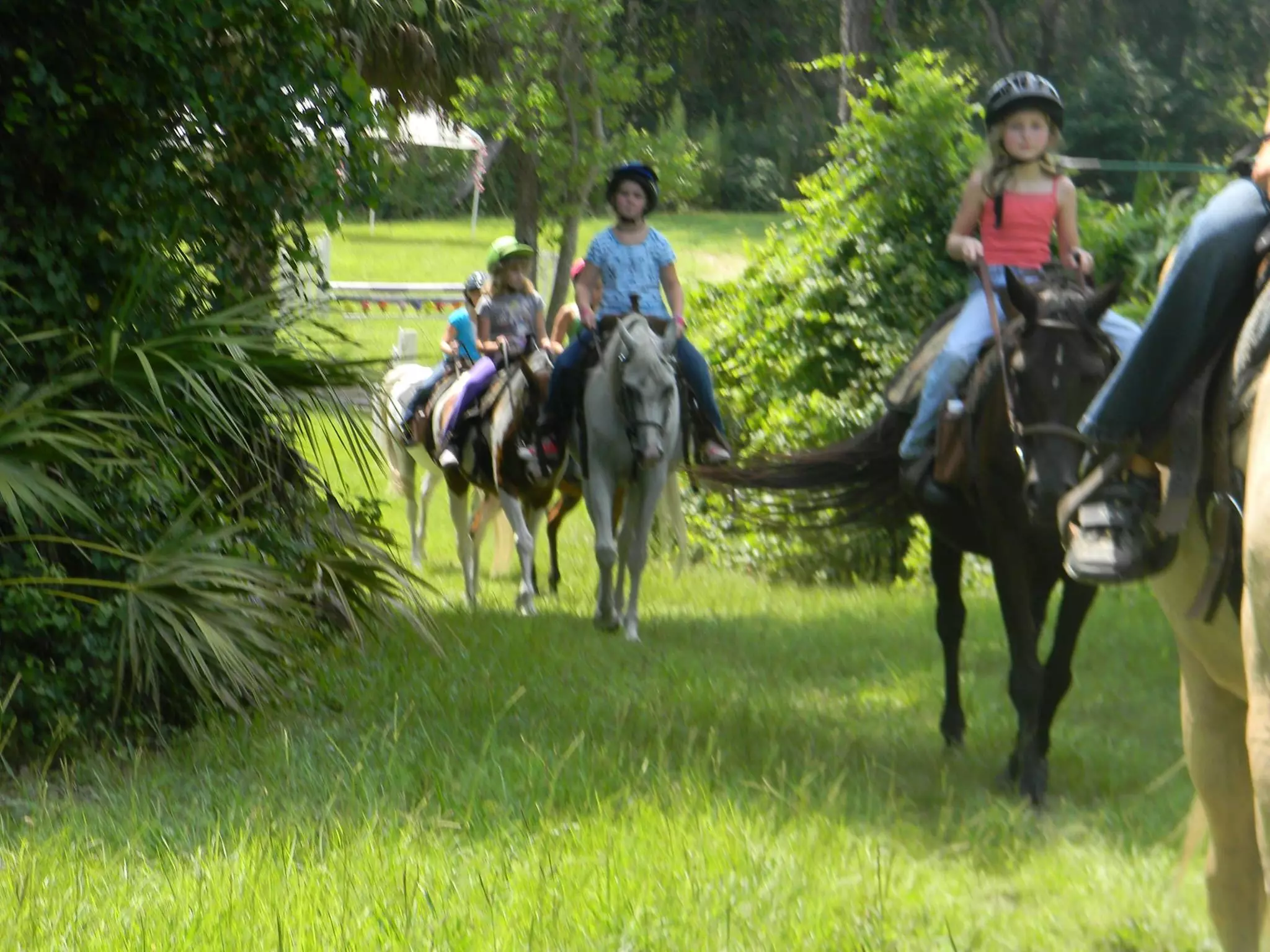 Explore Serene Guided Group/Private Horseback Trail Ride for 2, 3 or 4