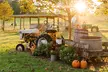 Explore Red House Ranch's Fall Festival General Admissions for 1, 2, 4, or 6; (Valid Fri to Sun) (Up to 30% Off) - Second Medium