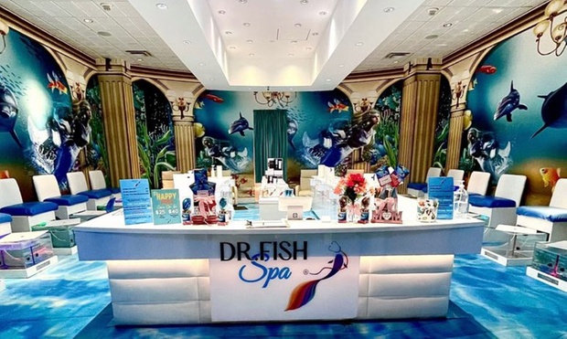 What to expect media