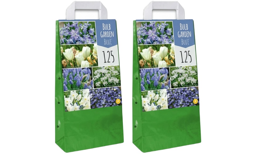 Image 6: 125 o 250 mix di bulbi colorati