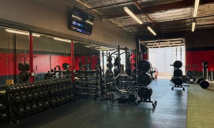Two Week: Unlimited Classes - Titan Training OC in Orange County, CA