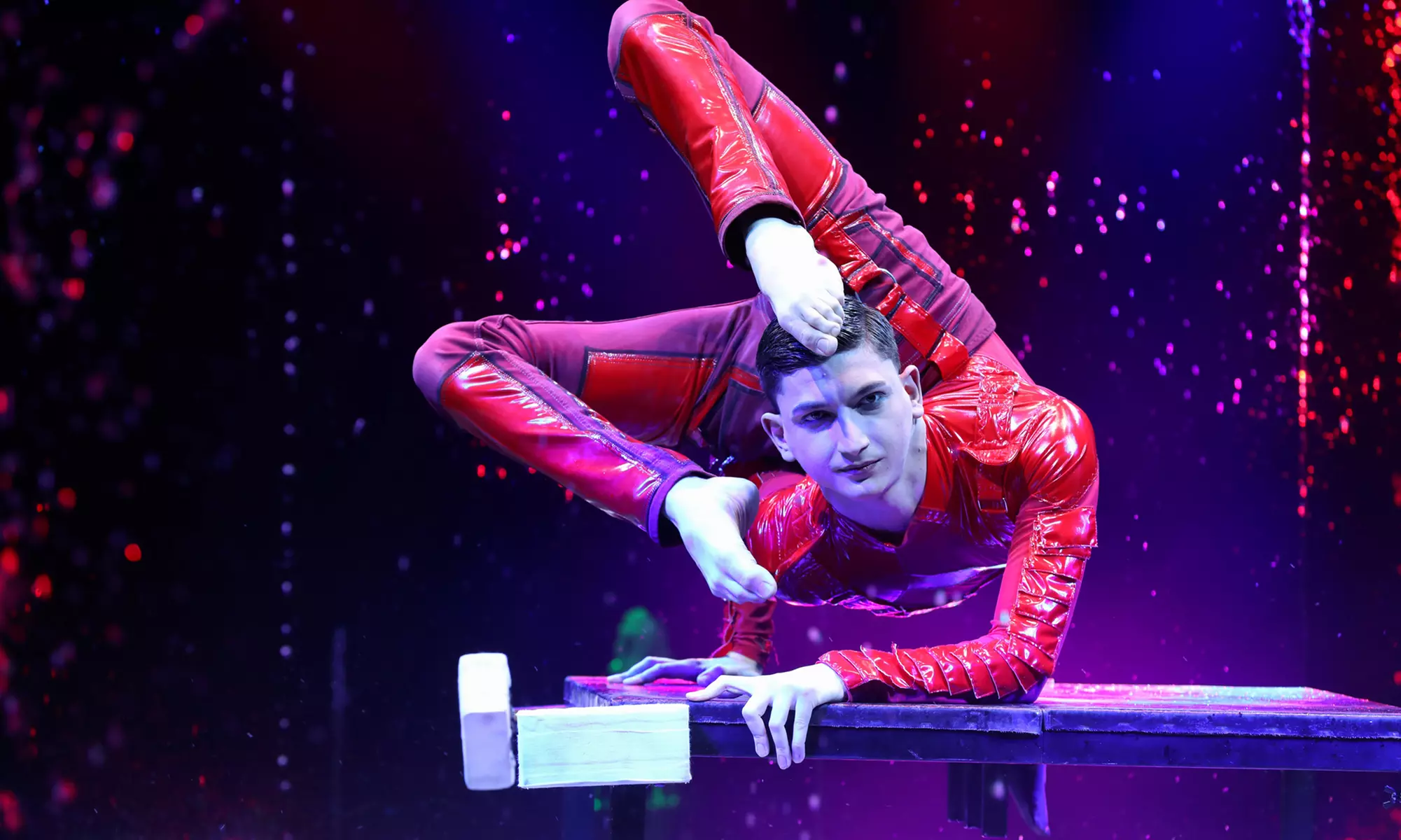 1 Ticket für den Zirkus Charles Knie an verschiedenen Terminen